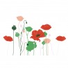 Stickers coquelicots