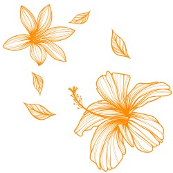 Lu Co créations hibiscus fleur couleur blanche 5.0 vinlyl sticker
