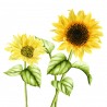 Stickers muraux fleurs de tournesol