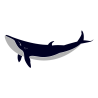 Sticker mural baleine