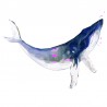 Sticker imprimé baleine