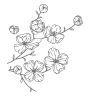 Décalcomanie autocollant fleurs de cerisier