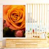 Autocollant mural motif rose