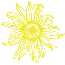Sticker fleurs de tournesol