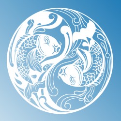 Sticker yin yang carpes