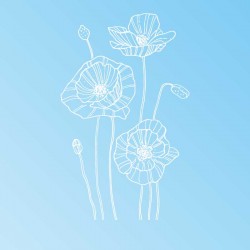 Stickers fleurs de coquelicot