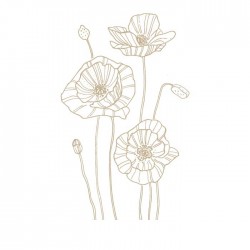 Stickers fleurs de coquelicot